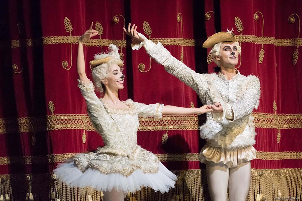 foto_8_ph.Bragagnoli_Gazzo_Fagetti_gatti