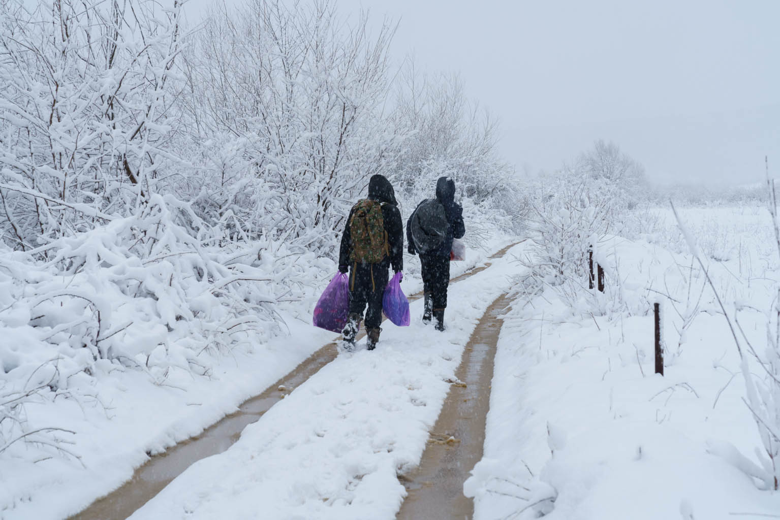 Migranti tornano con il cibo donato vero il proprio accampamento informale