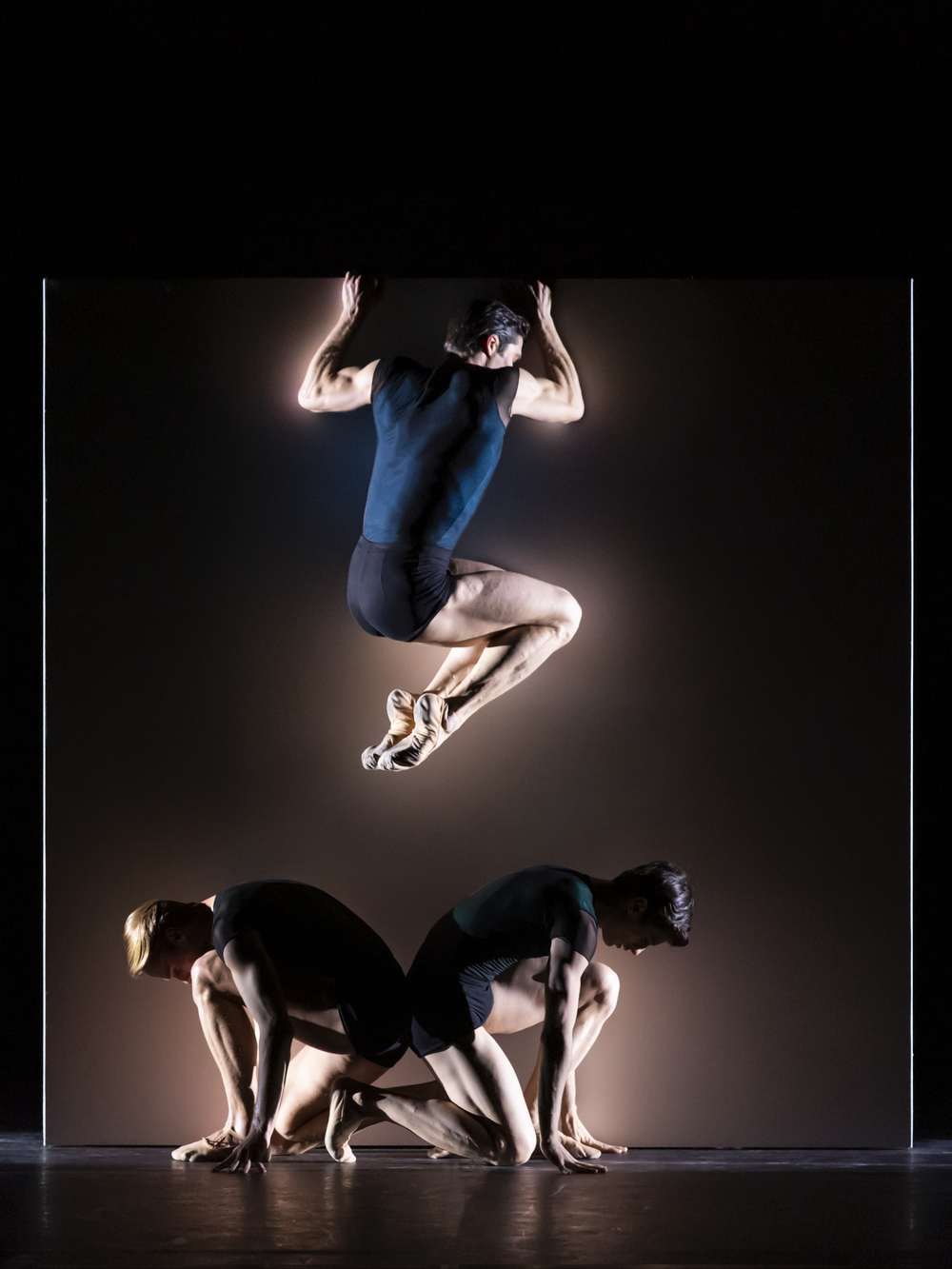 Bolle and Friends Arcimboldi 2019