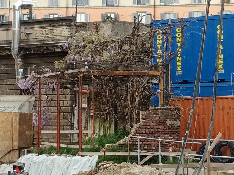 stato glicine 05/04/2024